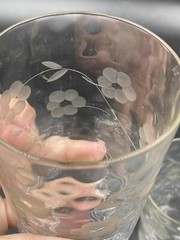 Vintage thin blown orange juice wine Glasses with Etched flowers and Leaves