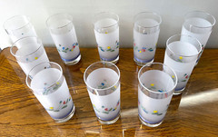 Floral Expressions 16 OZ FROSTED GLASS TUMBLERS by Hearthside Set of 10 Tumblers