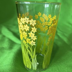 Jane Lynn Style Daffodil Garden 4.5” Retro Glasses Complete Set Of 8 VTG 70s MCM