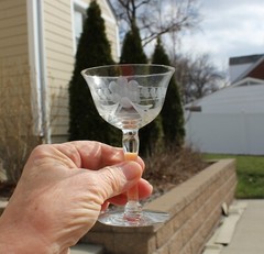 4 Depression Clear 4.25” Liqueur Cordial Glass w/ Etched Grape Circle Design