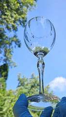 5 Vintage Mikasa Spring Petals Crystal Wine Glasses, 8-3/8″, FREE SHIPPING