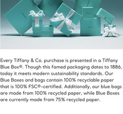 Tiffany & Co Crystal Glass Champagne Flutes – Set of 2 per box, NIB 9 5/8” tall
