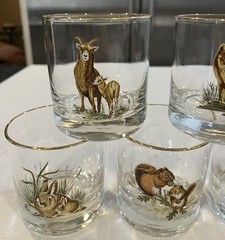 Vintage West Virginia Specialty Glass American Wildlife rocks glasses lot of 7