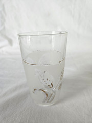 Vintage Italy Frosted Wheat Glass Pitcher & 4 Tumbler Glasses w/ Gold Trim