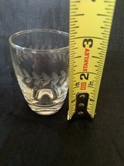 Vintage Shot Glass Jigger Clear with Laurel Leaf Etched in Ring Around