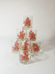 7 Crisal Poinsettia Low Ball Glasses By Mary Lou Goertzen in Portugal