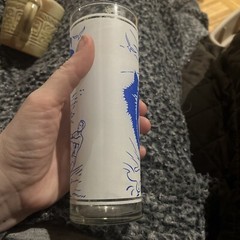 Vintage Unbranded Frosted Souvenir Tumbler FLORIDA SUNSHINE STATE