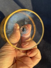 Low Sherbet Champagne Optic Gold Band with Roses Optic Bowl Gold Rim Base