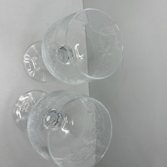 Cristal D’Arques-Durand «Dampierre» Bohemia Crystal Etched Goblet Set 2