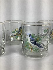 5~Vtg West Virginia Glass Co Songbirds Small Rocks Glasses Gold Trim