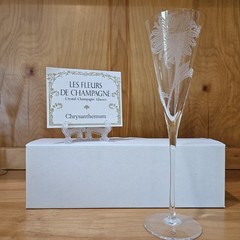 Franklin Mint Les Fleurs de Champagne Crystal Glass Set 12 w/ Cards COA Complete