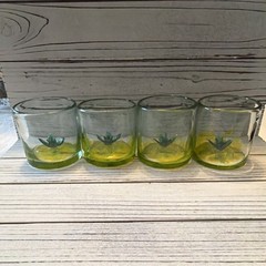 Anthropologie Cantina Cactus Juice Glasses – Set of Four – 164