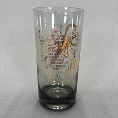 Vintage Zodiac Smoky Highball Glass Tumbler Set of 3 Aquarius Libra Scorpio