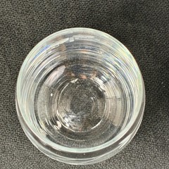VTG Encore by Toscany Stemless Wine Glass Frosted Etched Floral Barware