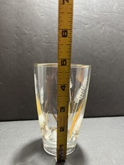 Vintage Libbey Wheat Spray Pattern Drinking Glass 4.75″ Tall Gold Rimmed MCM