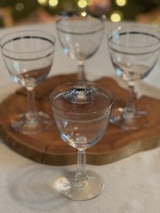 FOSTORIA Reflection Crystal Wine Water Goblets Platinum Band Set Of 4