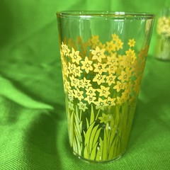 Jane Lynn Style Daffodil Garden 4.5” Retro Glasses Complete Set Of 8 VTG 70s MCM