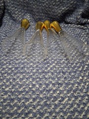 Vintage Gold Screw 10″ Solid Bottom Champagne Flutes Set of 4