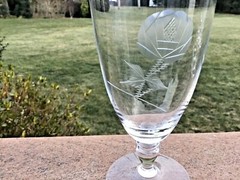 Bryce Wilmington Rose Ice Water Goblet’s Set (6) 6 5/8” Elegant Depression Glass
