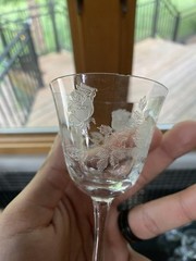 SET OF 9 RARE PATTERN Tiffin Glass «Roses Flat Paneled Wine Glasses 4.5″H