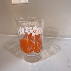 Vintage Orange Fruit Floral Decorated Glass Replacement For Set
