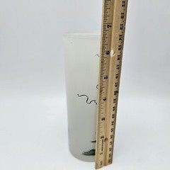 New Orleans frosted glass Boats Ohio River Steamboat Vintage