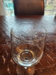 Single Floral Cut & Etched Unusual Wafer- Stem Wine Glasses Goblet