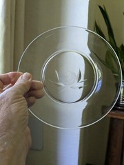 Fostoria «Rose» Clear Glass Set – 20 pieces