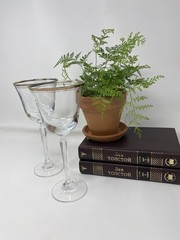 Mikasa Wheaton Gold Trim Water/Wine Goblets, 8.25″, Set of 2 Elegant Luxury