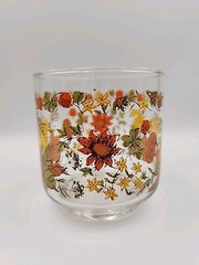 Vintage Libby Libbey Harvest 6 oz Rock Water Juice Glass Indian Summer