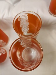 Vintage Salmon Pink & Blue Pastel Frosted White Leaf Glasses Tumblers (6)