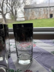 Vintage Dorothy Thorpe Silver Fade Highball Glasses —Set of 6 etched floral