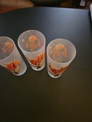 Vintage MCM Botanical Flower Frosted Glass 12 oz Set of 3
