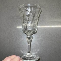 1 Gray Cut Circle Dot Leaves UNK359 Crystal Clear Glass 6-7/8 Water Goblet