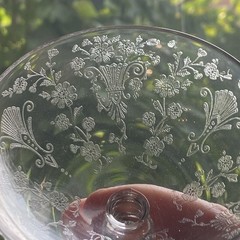 Duncan Miller First Love Etched Sherbet Champagne Glasses 5 pc Set Floral 5111