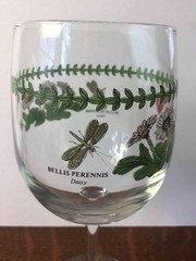 Portmeirion Botanic Garden 12 oz Stemmed Wine Water Glass Bellis Perennis Daisy