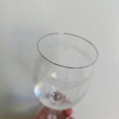 Johann Haviland Bavaria Sweetheart Rose Platinum Rim Wine Glass
