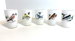 5 Vintage Bird White Oriole Robin Swallow Blue Bird Gold Finch Drinking Glasses
