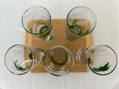 Set of 5 Vintage 7″ Libbey Tropical Tiki Palm Tree MCM Highball Glasses