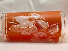 Vintage Salmon Pink & Blue Pastel Frosted White Leaf Glasses Tumblers (6)