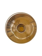 Vintage Art Glass Amber Etched Floral & Leaf Berry Dessert Dish Martini Glass