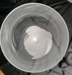 Mikasa Frosted Dove Wine Glasses 9 Inches Tall, Set Of 5