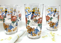 Vintage Drinking Glasses Tumblers Set of 6 Parrot Gardens Flowers 1940s-1950s
