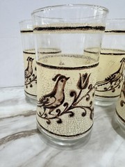 LIBBEY Partridge Quail Bolero Brown Crackle Drinking Glasses 1970’s Kitchen
