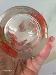 Vintage CRISTAL PORTUGAL Poinsettia Old – Fashioned Glasses- Set Of (4)