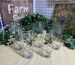 5 VINTAGE Federal Glass Tumblers 14oz Canvasback Ring Neck Pheasant Game Birds