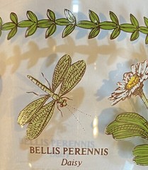 (4) PORTMEIRION Botanic Garden 18oz. 7” Tall Water Goblets Wine Glasses