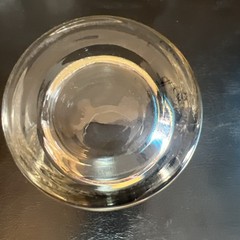 Vintage Clear High Ball Bar Lodge Glasses Alaskan Wildlife 5.5” Sold Per Glass