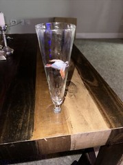 Sportsman 8-1/4” Pilsner Glass Canvasback Maass Goose Pheasant