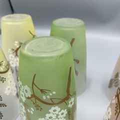 Vintage 1960s Set of 8 Libby Dogwood Frosted Glasses Painted Tumblers 5.5″ Tall